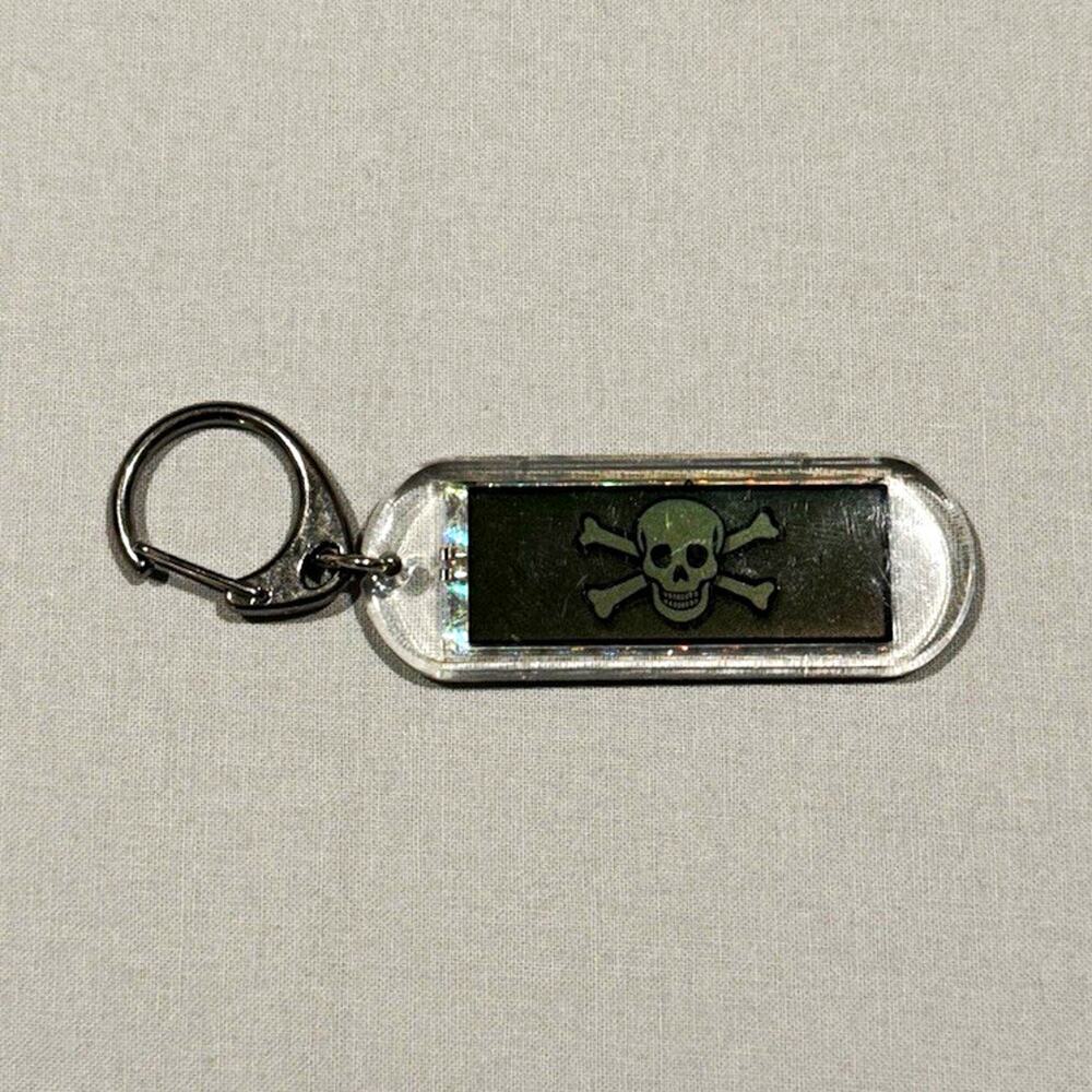 Clear Plastic Skull Keychain Split Ring, Silver/Black, Solar Powered Lights Up